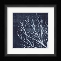 Seaweed 1 Framed Print