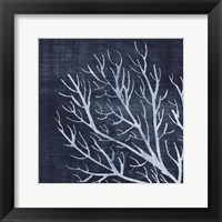 Seaweed 1 Fine Art Print