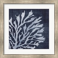 Seaweed 2 Fine Art Print