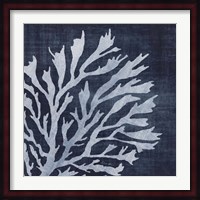 Seaweed 2 Fine Art Print