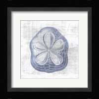 Sand Dollar 2 v2 Framed Print