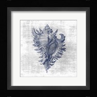Sea Life 1 Framed Print