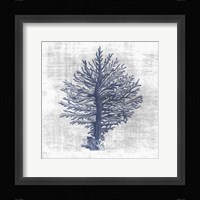 Sea Life 2 Framed Print