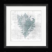 Sea Life 1 v2 Framed Print