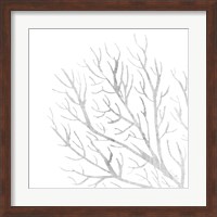 White Seaweed 1 Fine Art Print