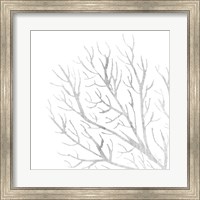 White Seaweed 1 Fine Art Print