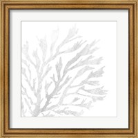 White Seaweed 2 Fine Art Print