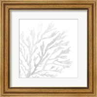 White Seaweed 2 Fine Art Print