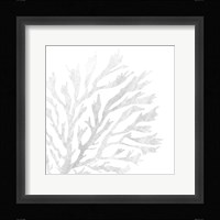 White Seaweed 2 Framed Print