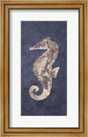 Sea Horse Coastal 1 Fine Art Print