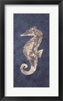 Sea Horse Coastal 1 Fine Art Print
