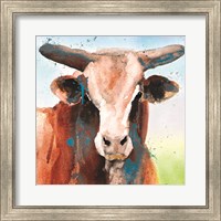 Bull Blue Fine Art Print