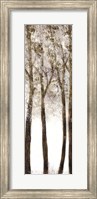 Wooded Grove 1 Fine Art Print