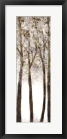 Wooded Grove 1 Framed Print