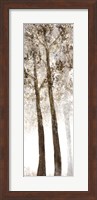 Wooded Grove 2 Fine Art Print