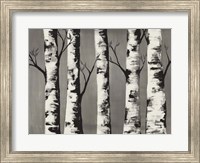 Birch Backwoods Fine Art Print
