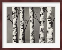 Birch Backwoods Fine Art Print