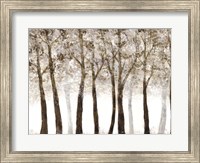 Wooded Grove Fine Art Print