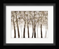 Wooded Grove Fine Art Print