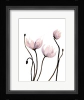 Fresh Growth 2 Fine Art Print