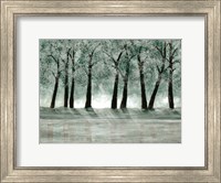 Green Forest 1 Fine Art Print