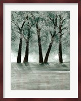 Green Forest 3 Fine Art Print