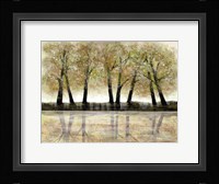 Spring Forest Fine Art Print