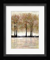 Serene Forest Fine Art Print