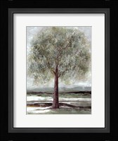 Twilight Of Spring 1 Fine Art Print