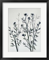 Botanical Inspiration 2 Fine Art Print