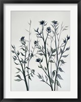 Botanical Inspiration 2 Fine Art Print