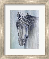 Gentle Stallion 1 Fine Art Print