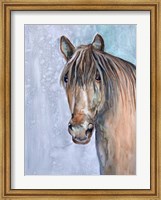 Gentle Stallion 2 Fine Art Print