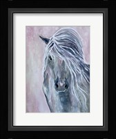 Majestic Stallion 1 Fine Art Print