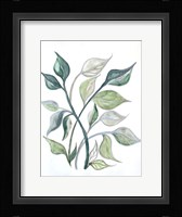 Surfaced Growth 1 Fine Art Print