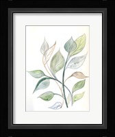 Surfaced Growth 2 Framed Print