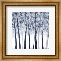Wooded Grove Fine Art Print