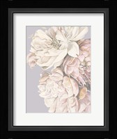 Soft Peonies Fine Art Print