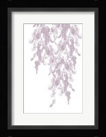 Weeping Willow Mauve Splash 1 Fine Art Print