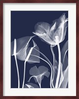 Navy Flora 2 Fine Art Print