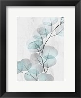Eucalyptus Glow 4 Fine Art Print