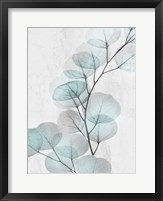 Eucalyptus Glow 4 Fine Art Print