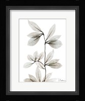 Sandy Wonder 3 Fine Art Print