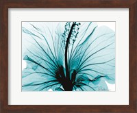 Aqua Hibiscus Fine Art Print