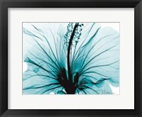 Aqua Hibiscus Fine Art Print