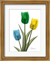 Jeweled Tulip Trio 2 Fine Art Print