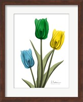 Jeweled Tulip Trio 2 Fine Art Print