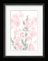 Blushing Bouquet 2 Framed Print