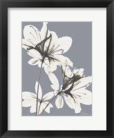 Splendid Autumn Beauty 1 Framed Print