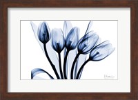 Marvelous Indigo Tulips 2 Fine Art Print